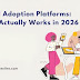 digital-adoption-platforms:-what-actually-works-in-2026